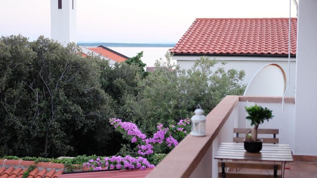 Apartments Jonke Mandre Dış mekan fotoğraf